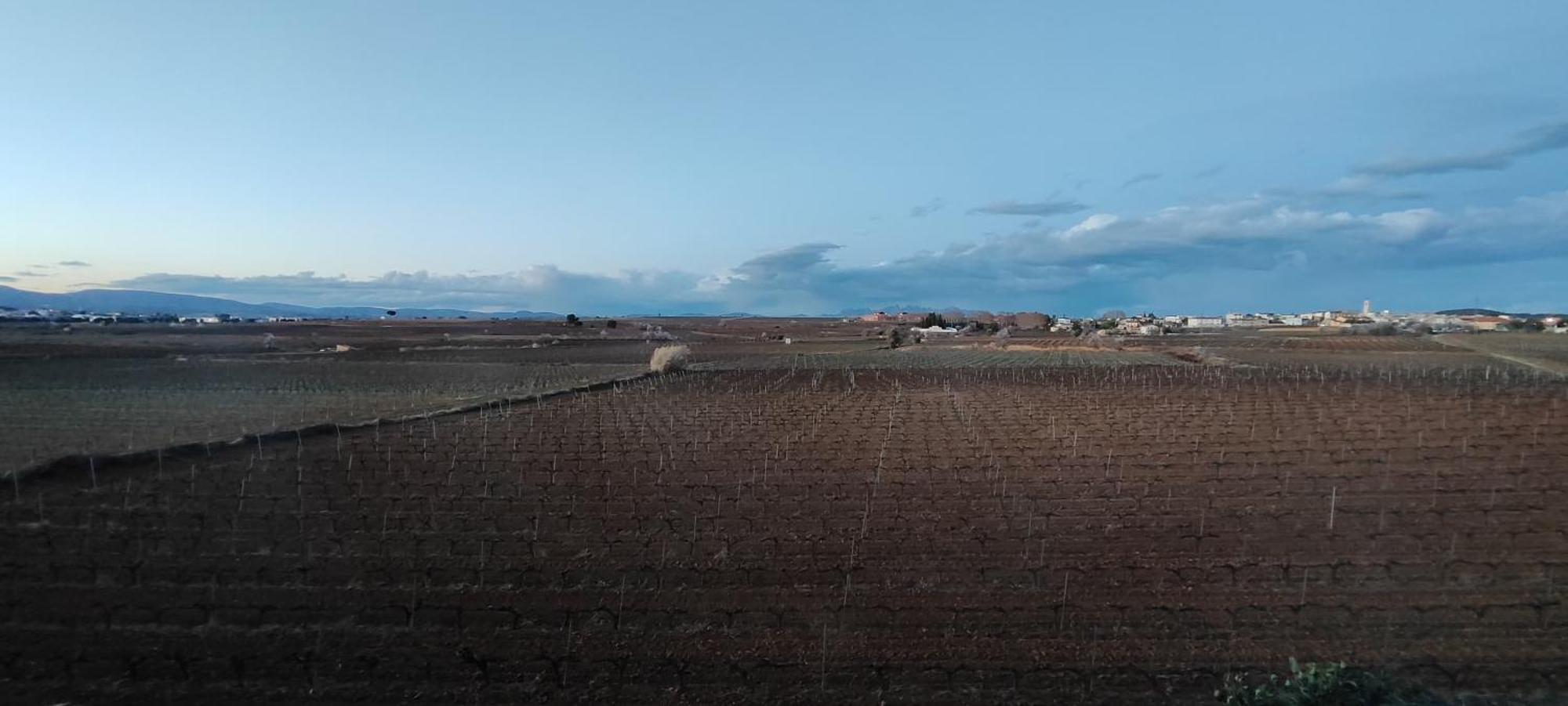 Cal Llop * Sant Cugat de Sesgarrigues